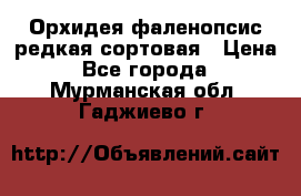 Орхидея фаленопсис редкая сортовая › Цена ­ 800 - Все города  »    . Мурманская обл.,Гаджиево г.